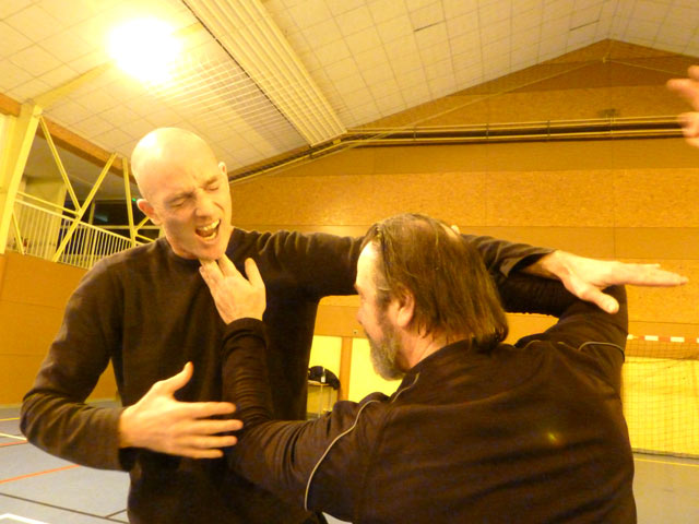 Tai Ji Quan - Canteleu - satge G.Saby 2013